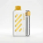 Vozol 40K Vista - Mango Ice